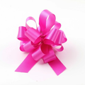 Beauty Perfect Bow