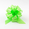 Citrus Perfect Bow