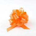 Tropical Orange Perfect Bow
